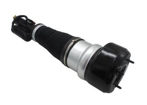 A2213204913 A2213209313 Front Air Strut Suspension Air Shock Untuk Mercedes Benz S Class W221