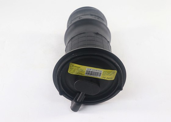 Air suspensi belakang Spring untuk 1995-2002 Land Rover Range Rover P38A Mengganti RKB101460E